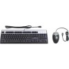 Клавиатура + мышь HP USB Keyboard and Optical Mouse Kit Russian (638214-B21)