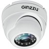CCTV-камера Ginzzu HAD-5301A