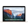 Ноутбук Apple MacBook (2016 год) [MLHE2]